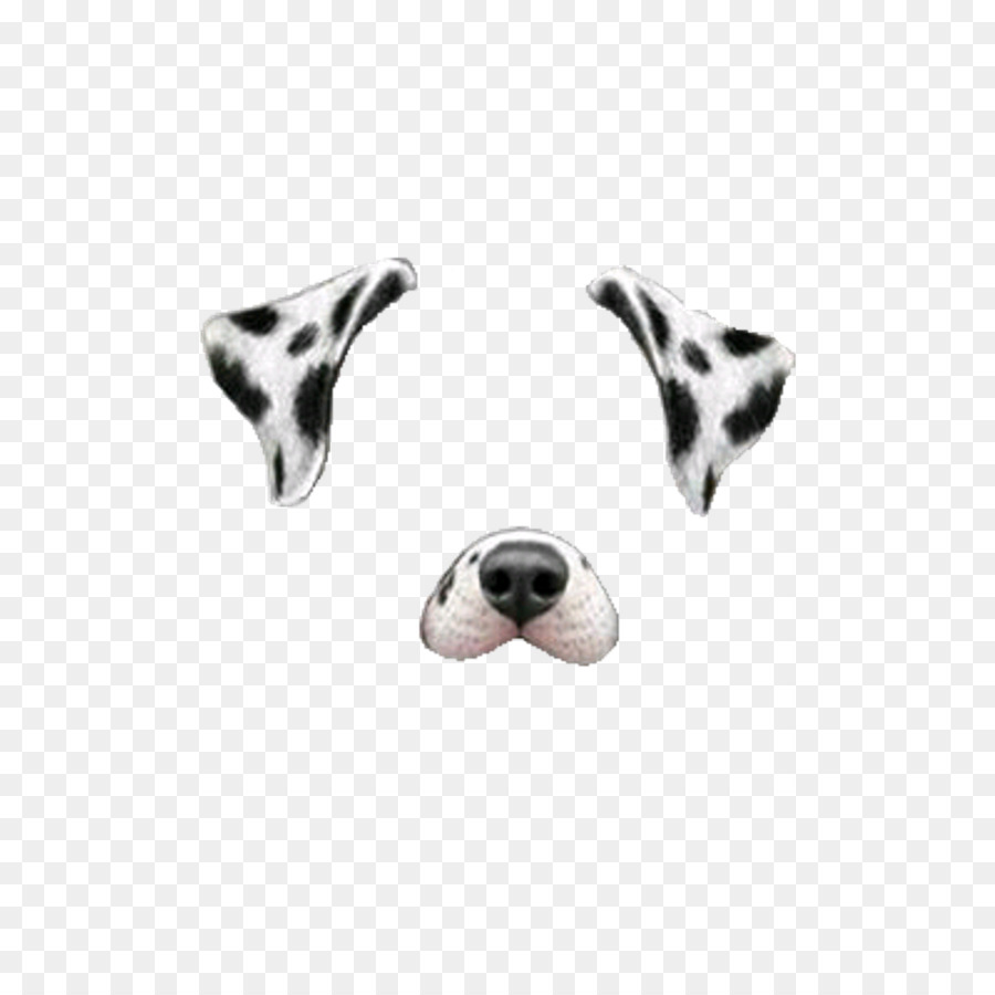 Dalmatian dog Miniature Schnauzer Snapchat Clip art - snapchat png download - 1024*1024 - Free Transparent Dalmatian Dog png Download.