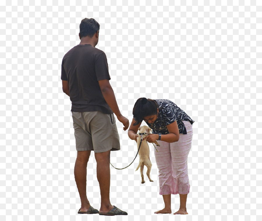 Dog walking Pet sitting - couples people png download - 500*750 - Free Transparent Dog png Download.