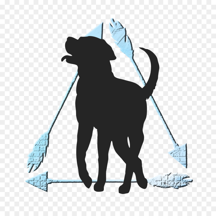 Cat Dog Pet Mammal Leash - journey png download - 2371*2358 - Free Transparent Cat png Download.