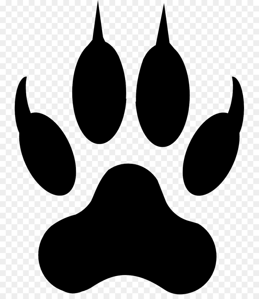 Dog Cat Paw Coyote Clip art - paw prints png download - 797*1024 - Free Transparent Dog png Download.