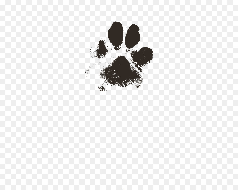 Paw Cat Puppy Printing Footprint - Cat png download - 360*720 - Free Transparent Paw png Download.