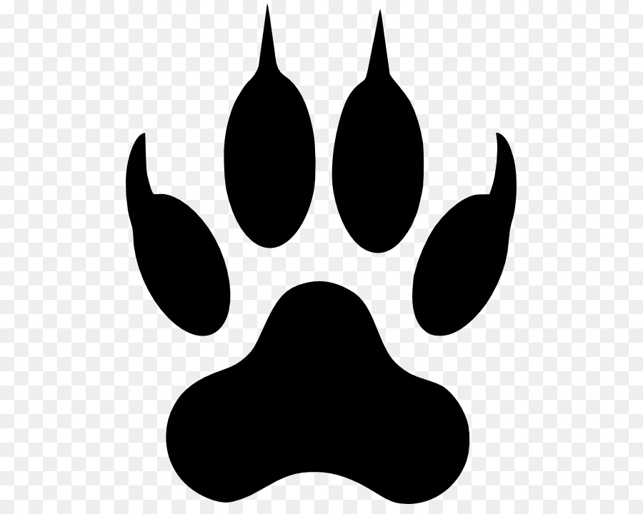 Dog Paw Cat Clip art - Dog png download - 557*711 - Free Transparent Dog png Download.