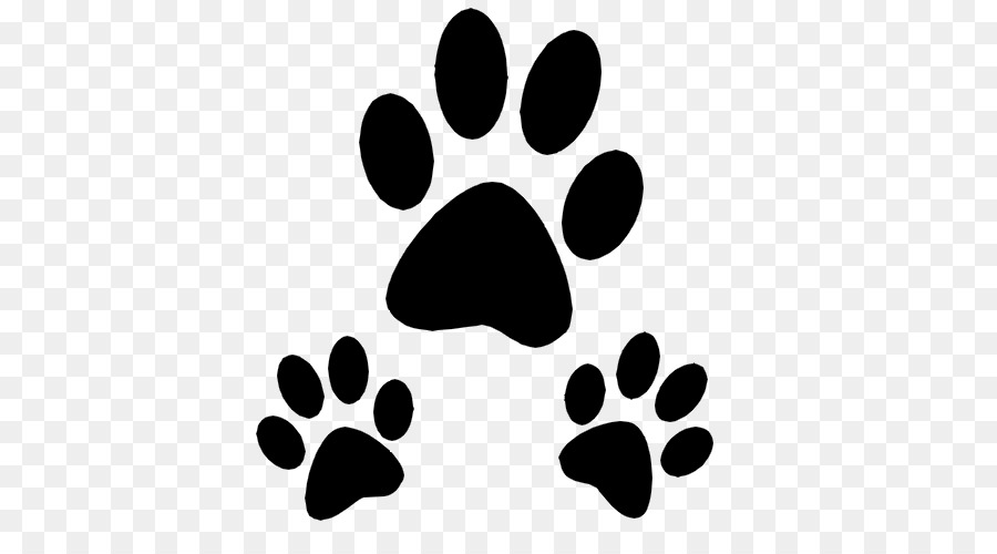 Cat Dog Paw Pet tag - Cat png download - 500*500 - Free Transparent Cat png Download.
