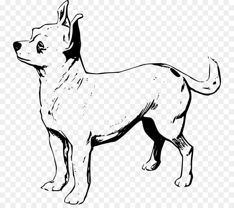 Chihuahua Chinese Crested Dog Boston Terrier Bedlington Terrier French Bulldog - Outline Of A Dog png download - 800*787 - Free Transparent Chihuahua png Download.