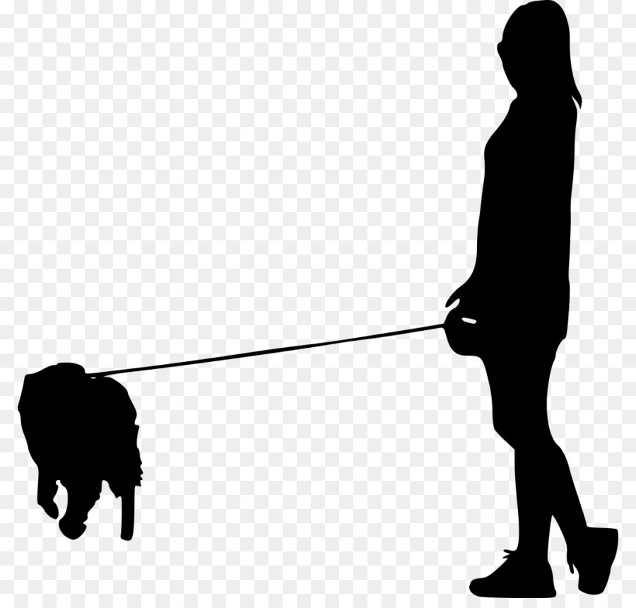 Dog walking Pet sitting Silhouette - Dog png download - 850*846 - Free Transparent Dog png Download.