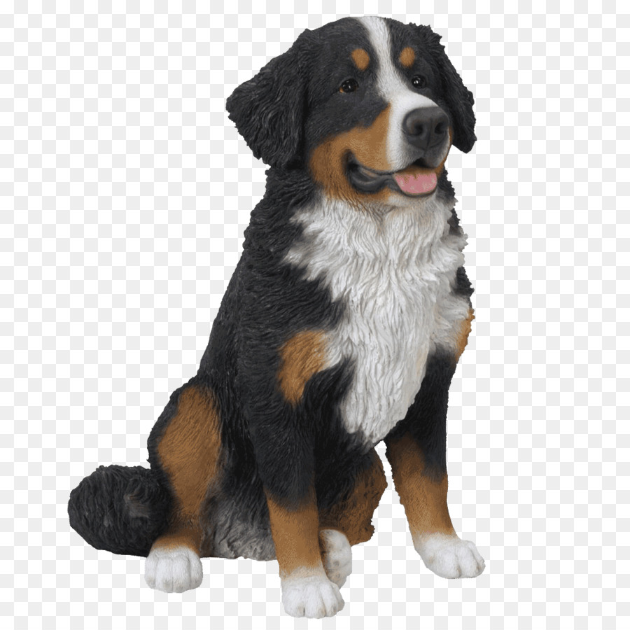 Bernese Mountain Dog Dog breed Greater Swiss Mountain Dog Companion dog Clip art - others png download - 1024*1024 - Free Transparent Bernese Mountain Dog png Download.