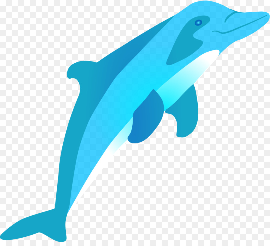 Bottlenose dolphin Amazon river dolphin Clip art - cute dolphin png download - 2676*2400 - Free Transparent Bottlenose Dolphin png Download.