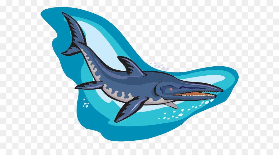 Common bottlenose dolphin Ichthyosaurus Dinosaur Fossil - FOSSIL png download - 640*481 - Free Transparent Common Bottlenose Dolphin png Download.