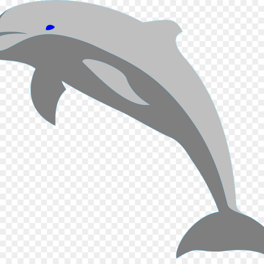 Porpoise Vector graphics Clip art Oceanic dolphin - dolphin png download - 1024*1024 - Free Transparent Porpoise png Download.