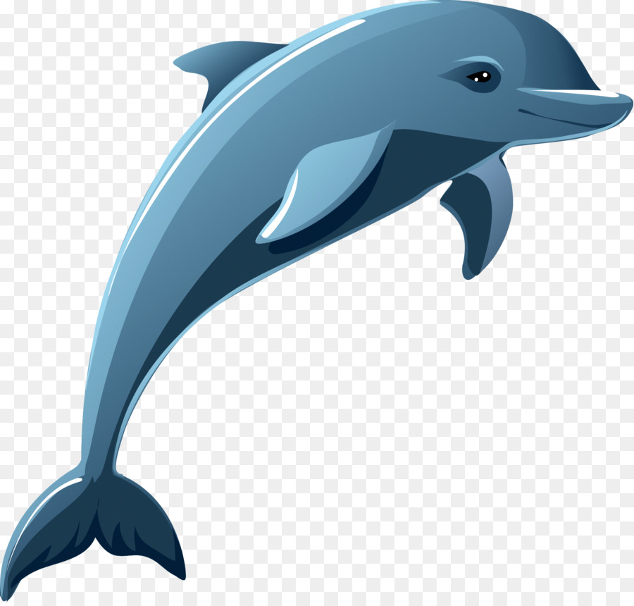 Featured image of post The Best 24 Cute Dolphin Clipart Transparent Background