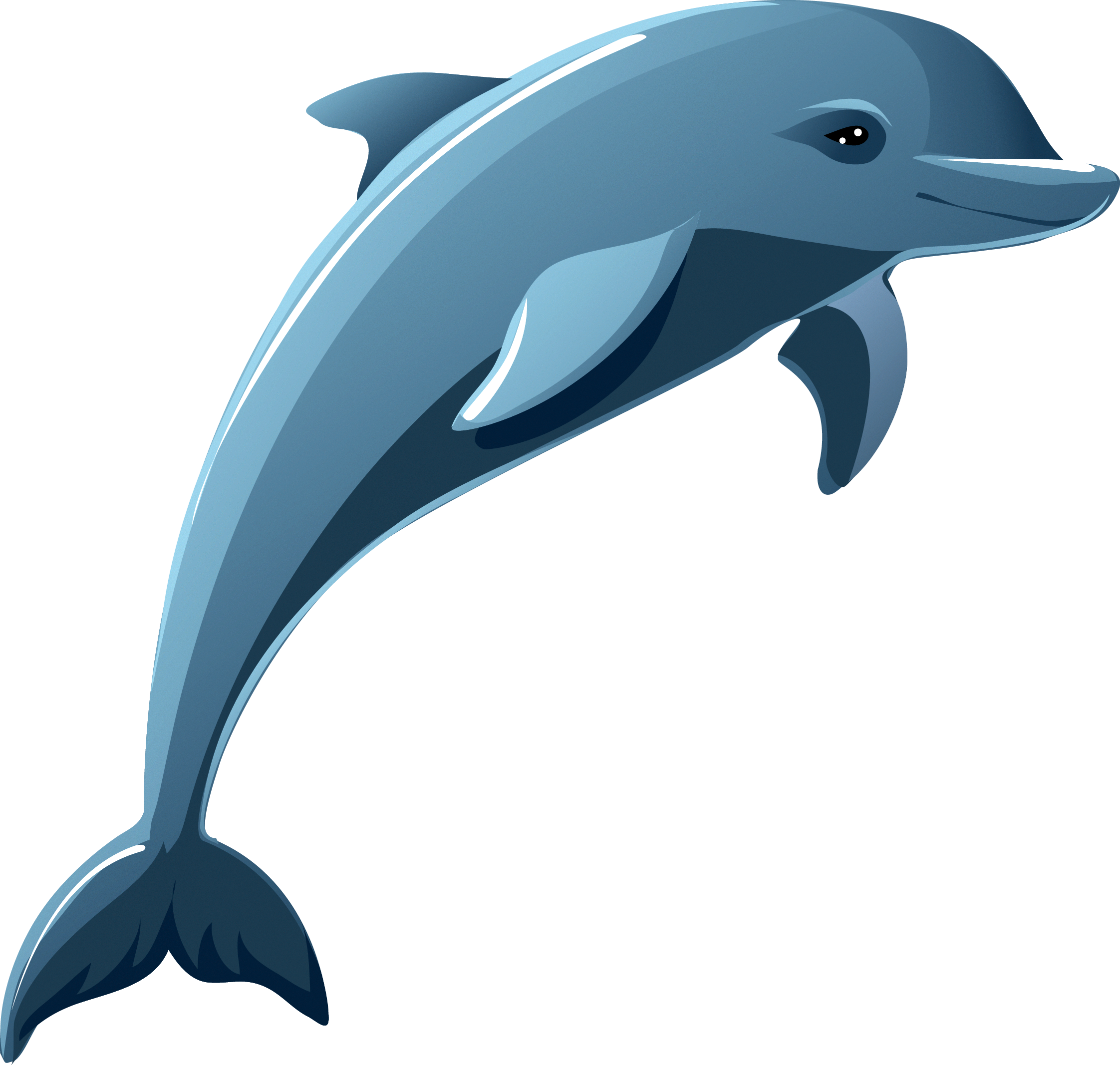 Dolphin Stock Photography Clip Art Dolphin Png Download 2244 2133 Free Transparent Dolphin Png Download Clip Art Library