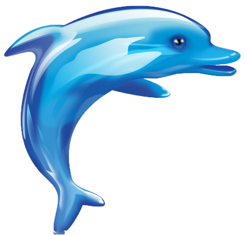 cartoon media: Cartoon Dolphin Png
