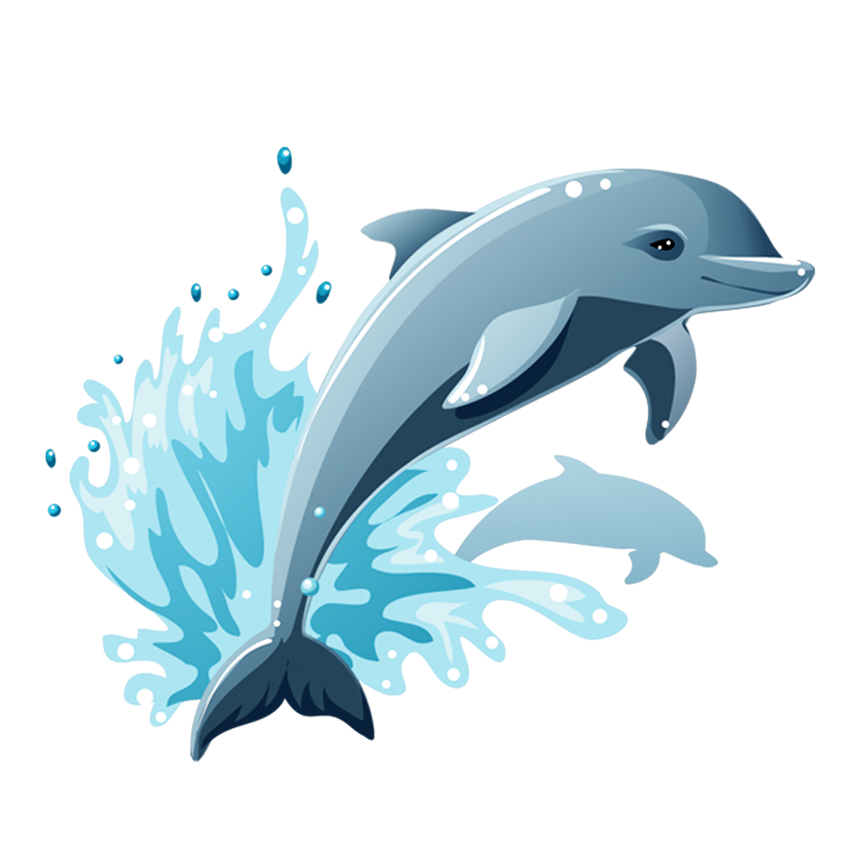 dolphin illustration download