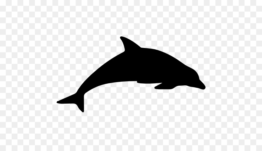 Harbour porpoise Dolphin Animal Cetacea - dolphin vector png download - 512*512 - Free Transparent Porpoise png Download.