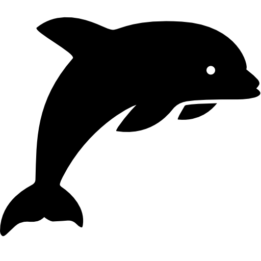 Computer Icons Dolphin Download Jumping Dolphins Png Download 512