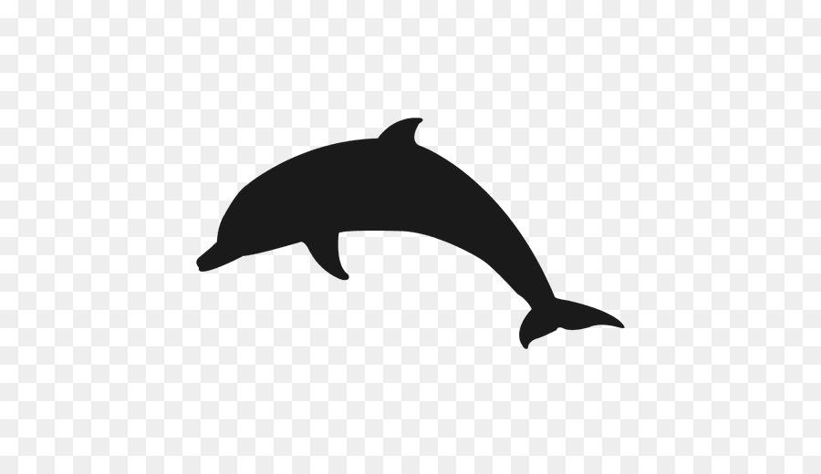 Bottlenose dolphin Clip art - dolphin png download - 512*512 - Free Transparent Dolphin png Download.