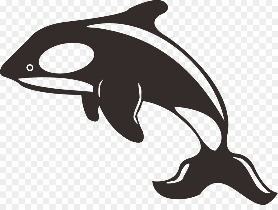 Dolphin Killer whale Toothed whale Black and white - dolphin png download - 2038*1504 - Free Transparent Dolphin png Download.