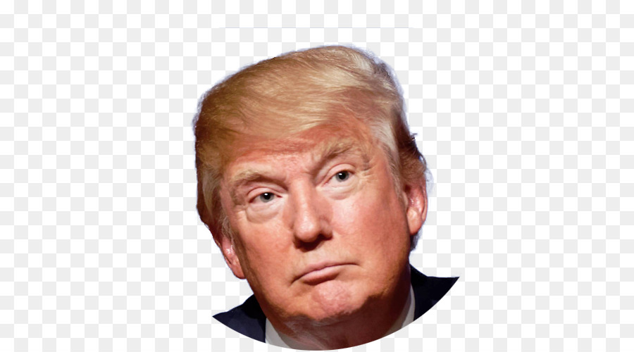 Presidency of Donald Trump President of the United States US Presidential Election 2016 - donald trump png download - 500*500 - Free Transparent Donald Trump png Download.