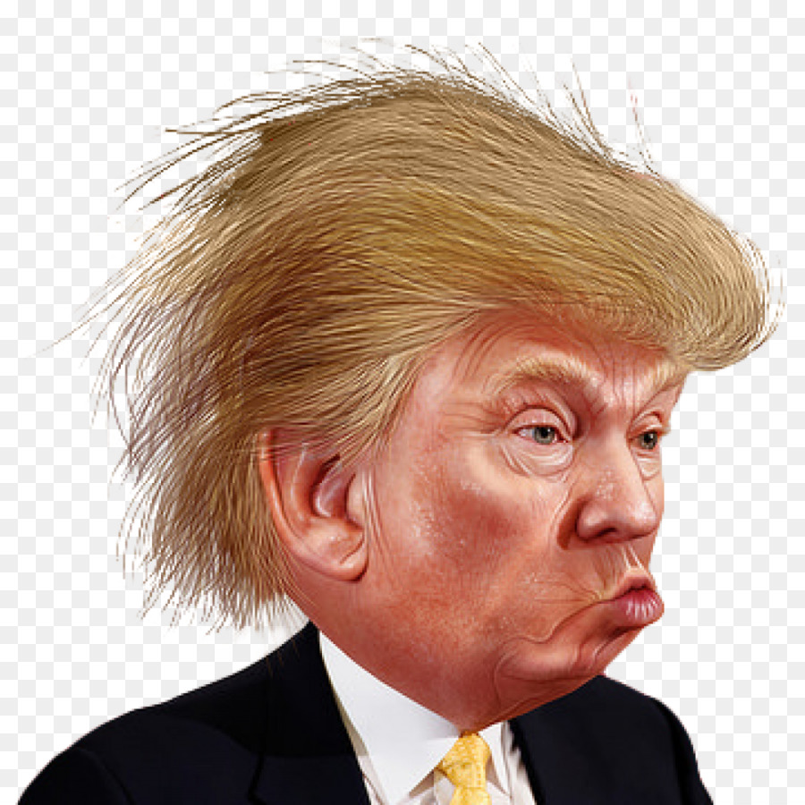Donald Trump Clip art Portable Network Graphics Image Funny Face - donald trump png download - 1000*1000 - Free Transparent Donald Trump png Download.