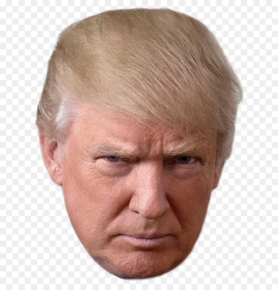 Donald Trump Crippled America United States Make America Great Again Time to Get Tough: Making America #1 Again - donald trump png download - 722*932 - Free Transparent Donald Trump png Download.