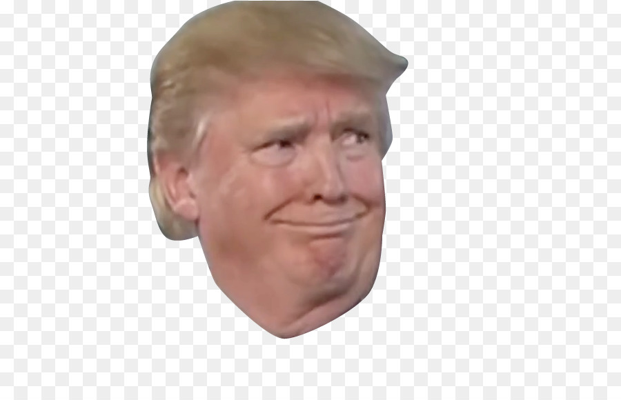 Donald Trump United States Smirk US Presidential Election 2016 - donald trump png download - 557*564 - Free Transparent Donald Trump png Download.