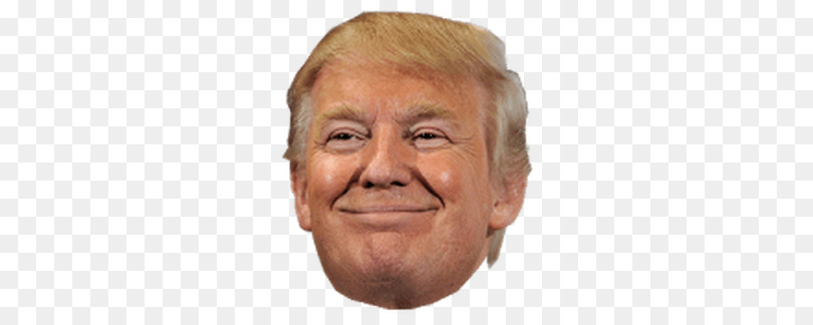 Donald Trump Clip art - donald trump png download - 347*347 - Free Transparent Donald Trump png Download.