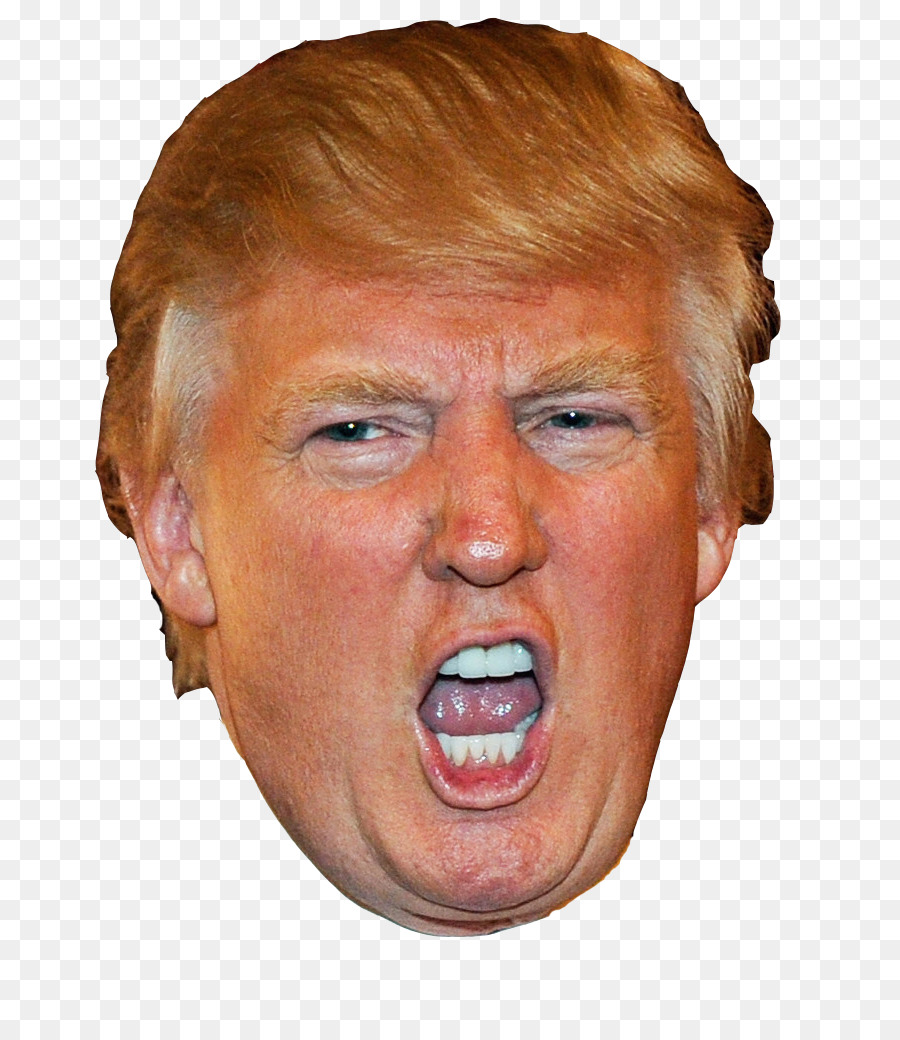 Donald Trump The Apprentice President of the United States Republican Party - donald trump png download - 814*1024 - Free Transparent Donald Trump png Download.
