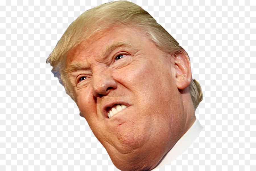 Donald Trump United States Crippled America YouTube Politician - donald trump png download - 600*600 - Free Transparent Donald Trump png Download.