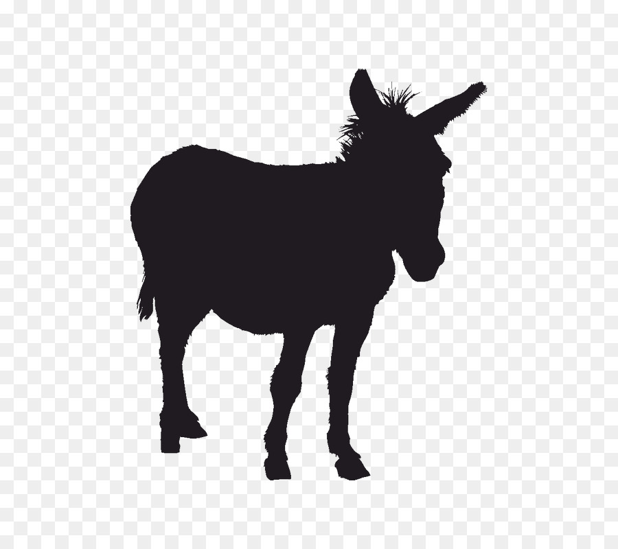 Donkey Silhouette Clip art - donkey png download - 800*800 - Free Transparent Donkey png Download.