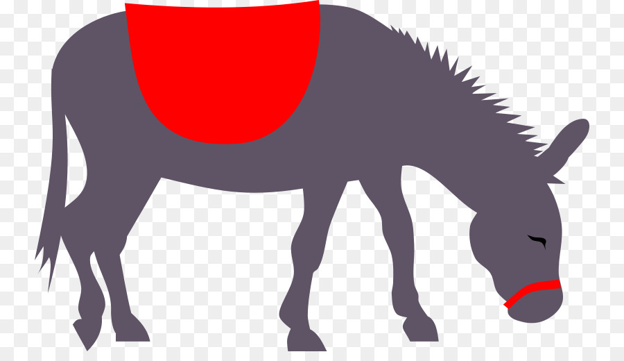 Mule Donkey Clip art - donkey png download - 800*506 - Free Transparent Mule png Download.