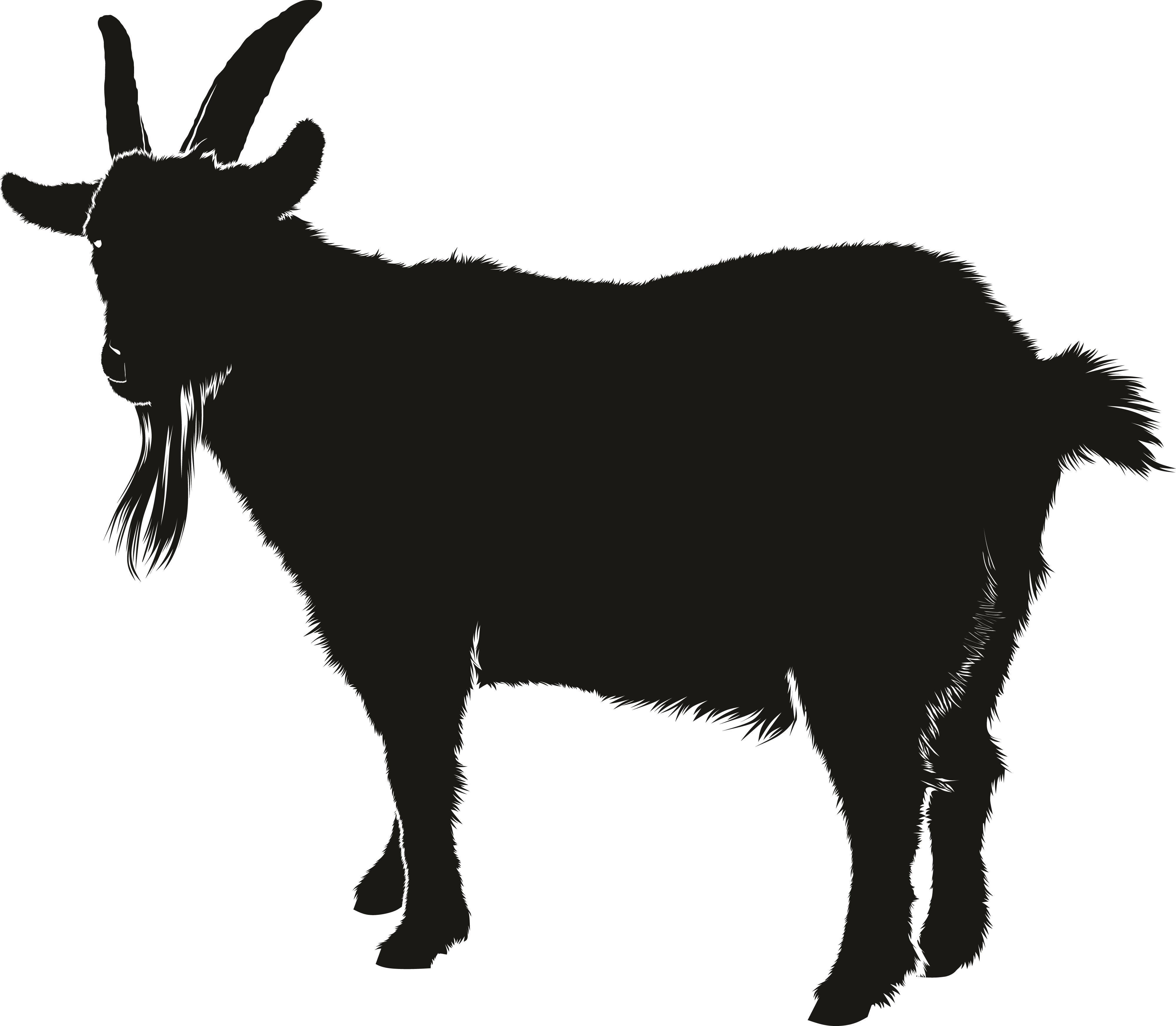 Boer Goat Silhouette Clip Art Png Download 40003489 Free.