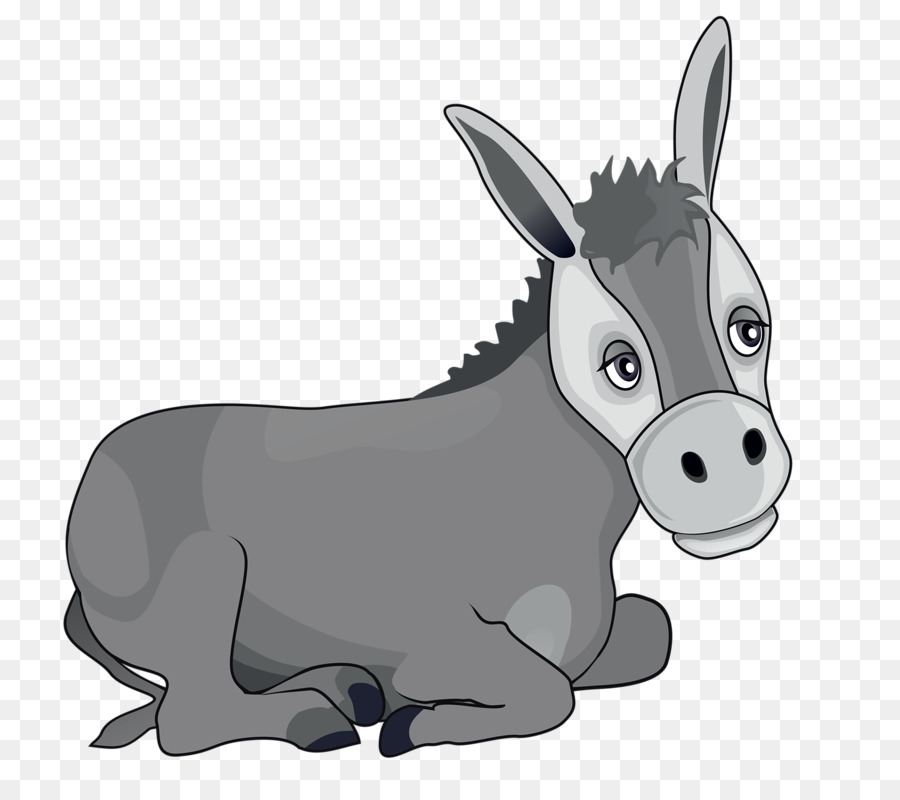 Donkey Christmas Clip art - Tummy donkey png download - 791*800 - Free Transparent Donkey png Download.