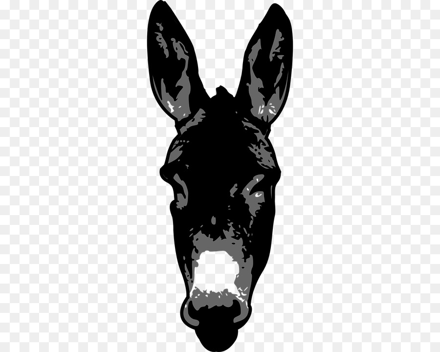 Donkey Clip art Image Silhouette Vector graphics - donkey png download - 360*720 - Free Transparent Donkey png Download.