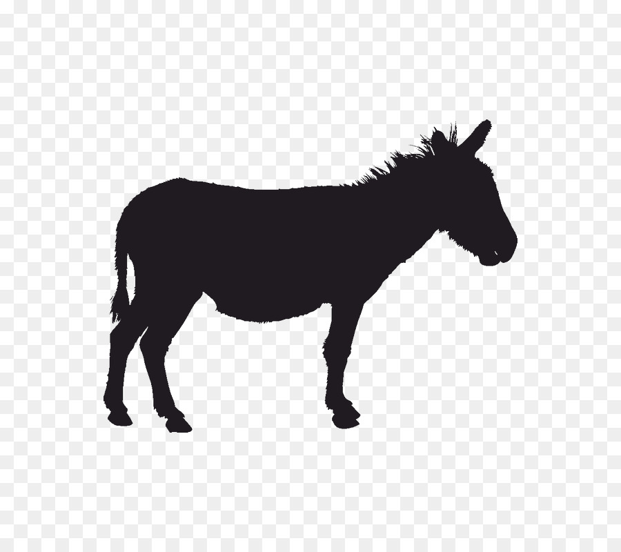 Mule Donkey Silhouette Clip art - donkey png download - 800*800 - Free Transparent Mule png Download.