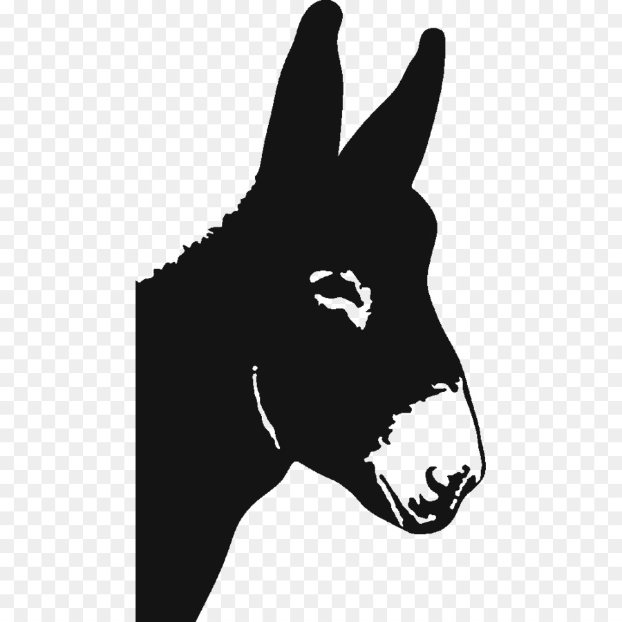 Mule Maine, Maine Clip art Scalable Vector Graphics Donkey - advertisment way for car png download - 1000*1000 - Free Transparent Mule png Download.
