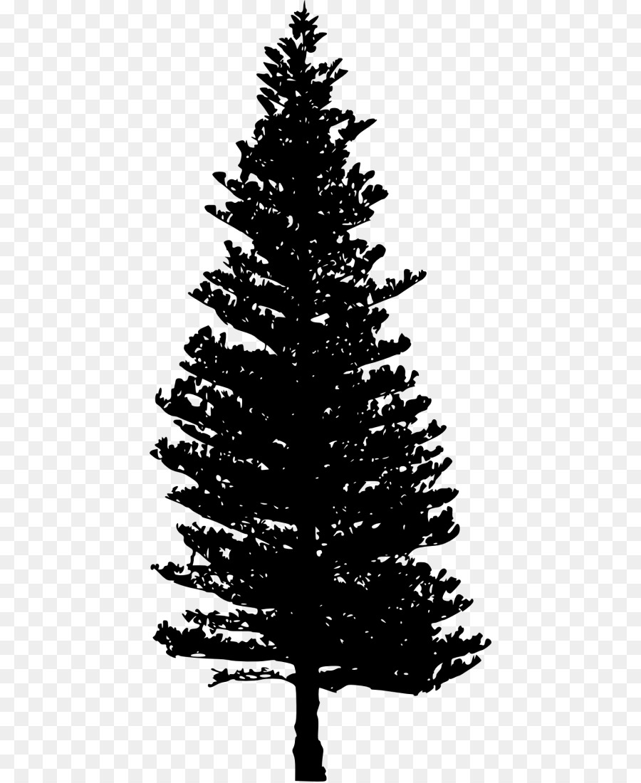 Douglas fir Tree Clip art - tree png download - 480*1098 - Free Transparent Fir png Download.