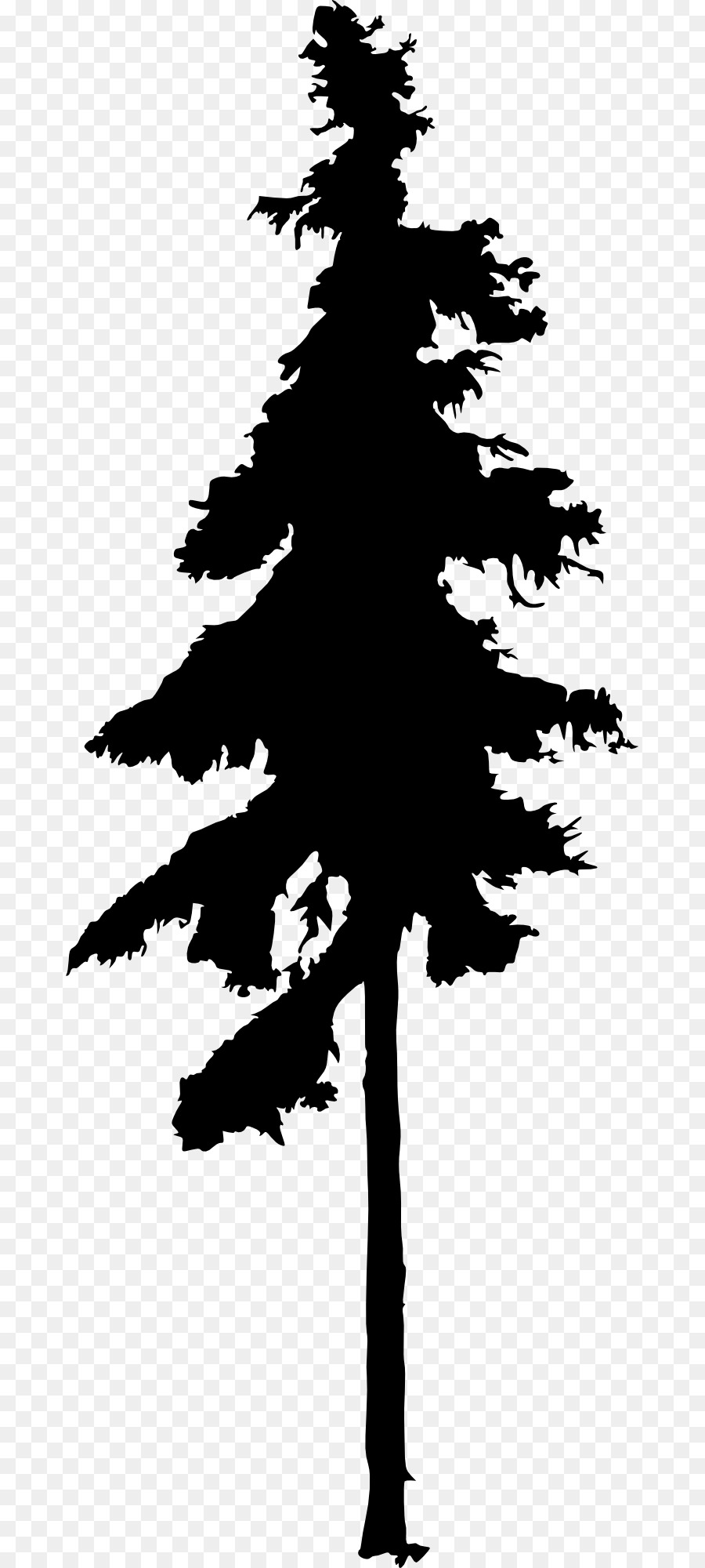 Fir Tree Drawing Silhouette Conifers - Silhouette png download - 731*2000 - Free Transparent Fir png Download.