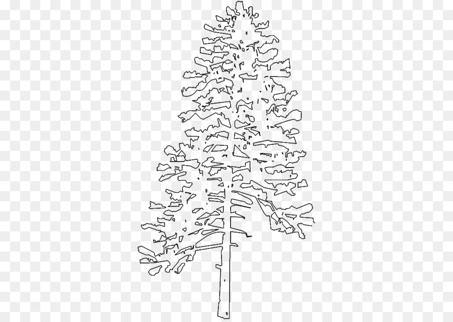 Fir Spruce Christmas tree Twig Line art - tree sketch png download - 1000*707 - Free Transparent Fir png Download.