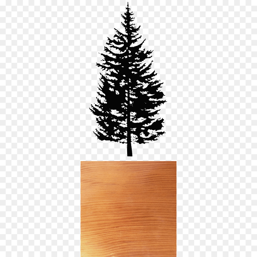Spruce Fir Pine Clip art Drawing - douglas fir png download - 336*900 - Free Transparent Spruce png Download.