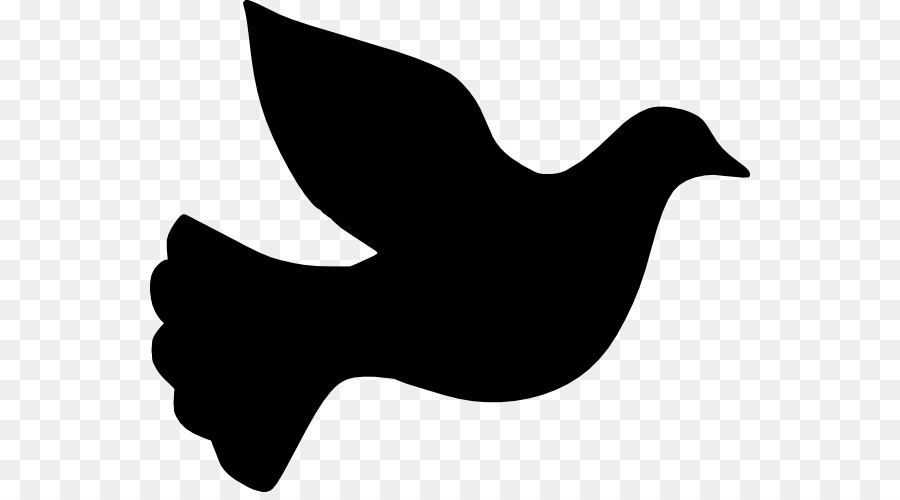Columbidae Bird Clip art - Black Dove Cliparts png download - 600*492 - Free Transparent Columbidae png Download.