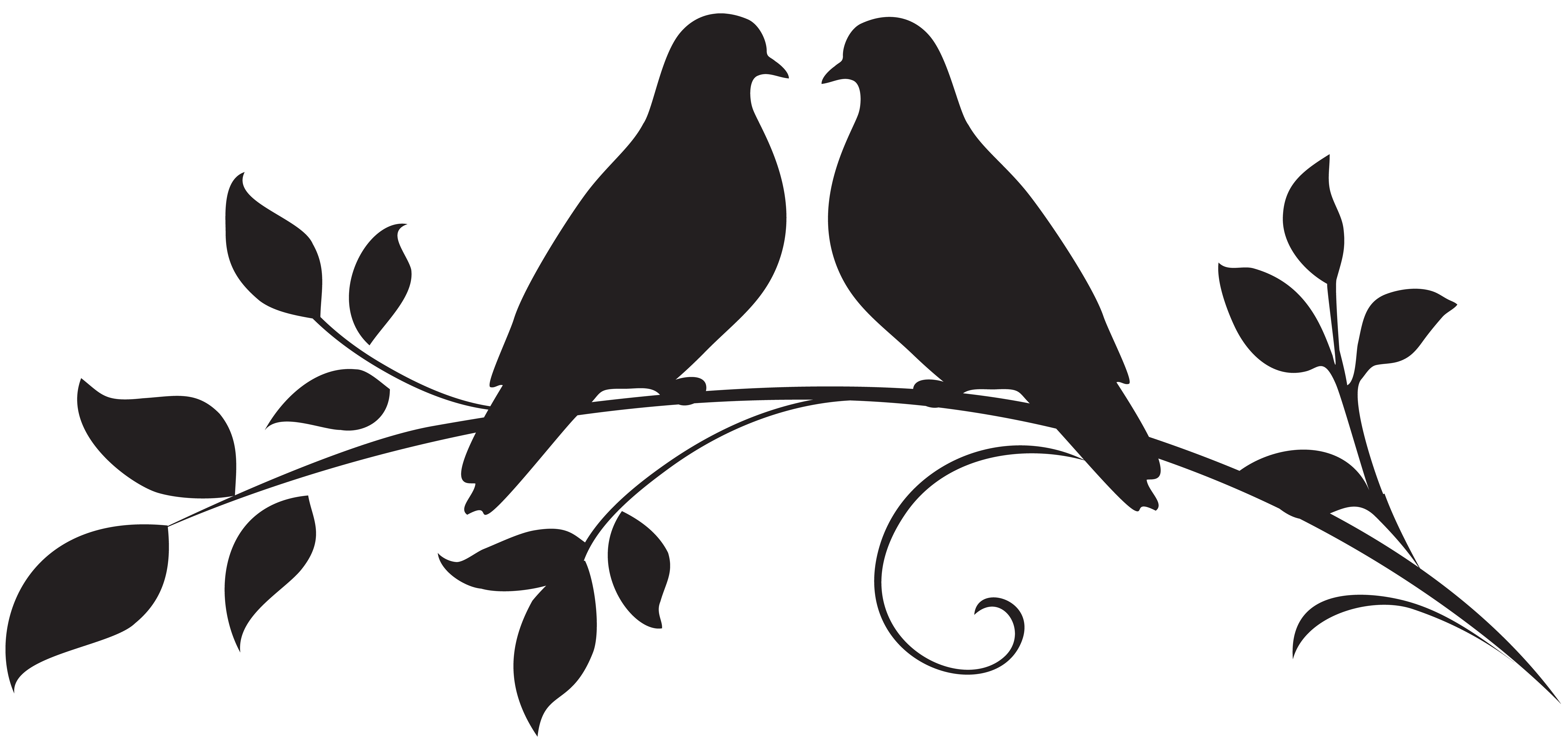 Bird Drawing Illustration - Love Doves Silhouette PNG Clip Art png