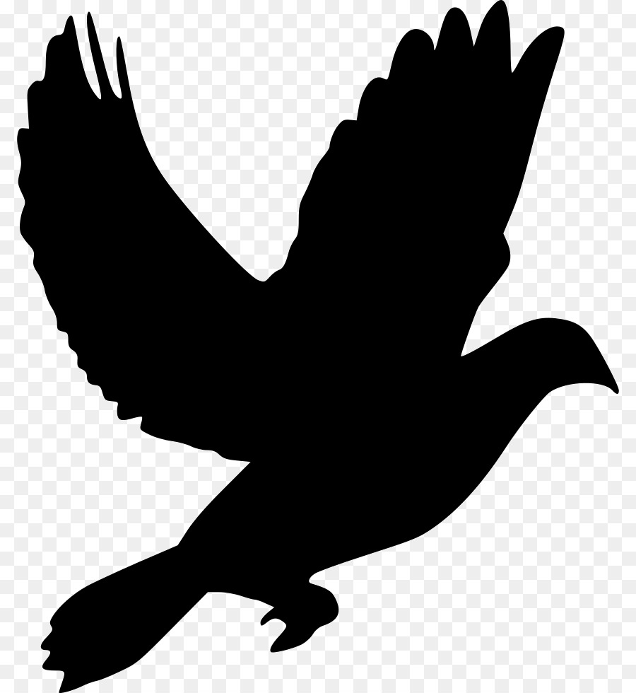 Domestic pigeon Columbidae Clip art - dove vector png download - 852*980 - Free Transparent Domestic Pigeon png Download.