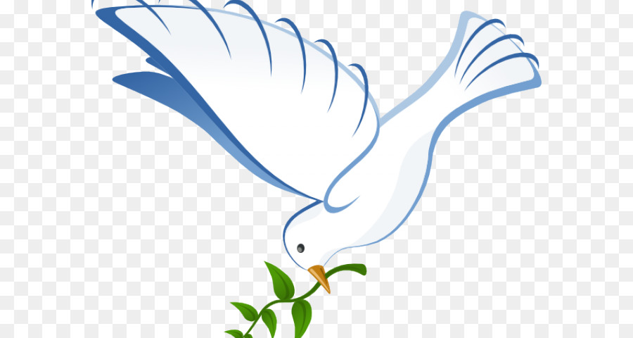 Pigeons and doves Portable Network Graphics Clip art Doves as symbols Release dove - holy background png dove png download - 640*480 - Free Transparent Pigeons And Doves png Download.