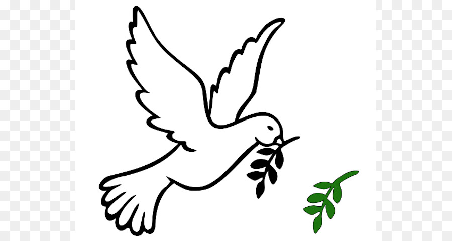 Columbidae Olive branch Peace symbols - Olive Bird Cliparts png download - 599*480 - Free Transparent Columbidae png Download.