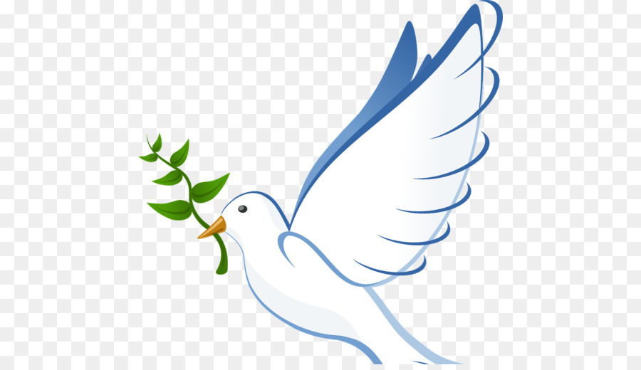 Pigeons and doves Doves as symbols Olive branch Clip art Portable Network Graphics - palomapng png download - 512*512 - Free Transparent Pigeons And Doves png Download.