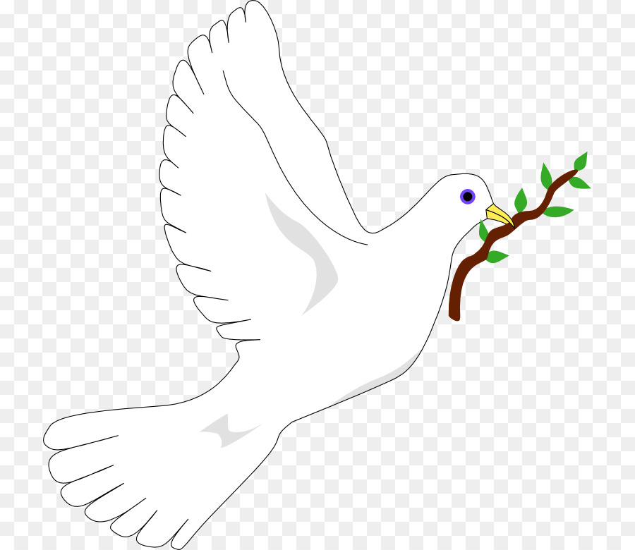 Columbidae Peace symbols Olive branch Doves as symbols - Dove Graphics png download - 777*780 - Free Transparent  png Download.