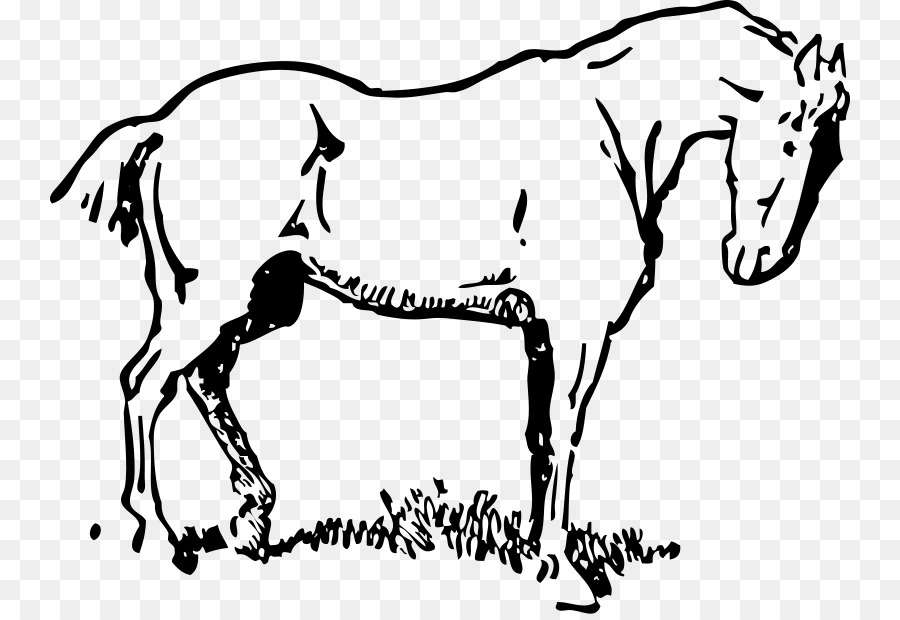 Mustang Draft horse Tennessee Walking Horse Clip art - mustang png download - 800*615 - Free Transparent Mustang png Download.
