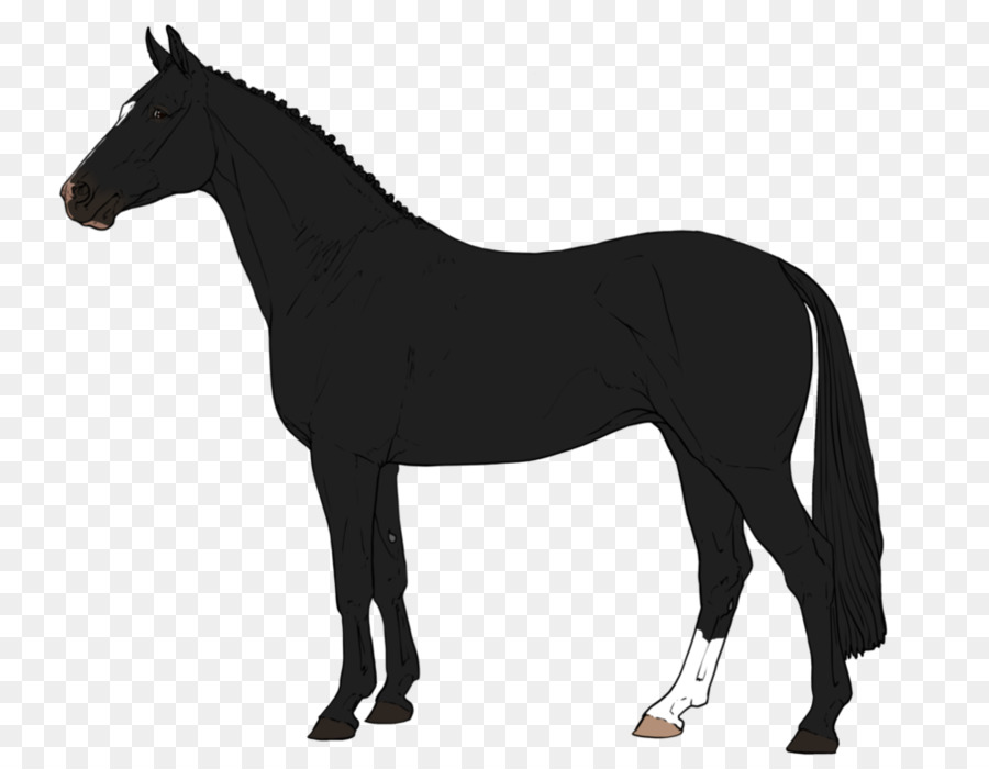 Arabian horse Percheron American Paint Horse Foal Stallion - Silhouette png download - 1018*785 - Free Transparent Arabian Horse png Download.
