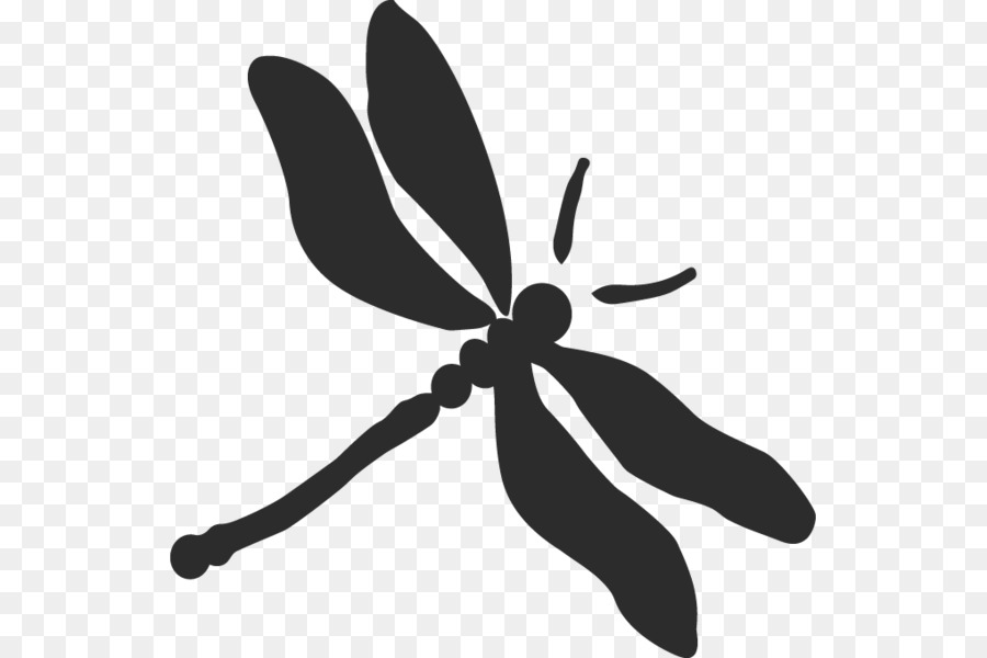Dragonfly Clip art - dragonfly png download - 1020*680 - Free Transparent Dragonfly png Download.