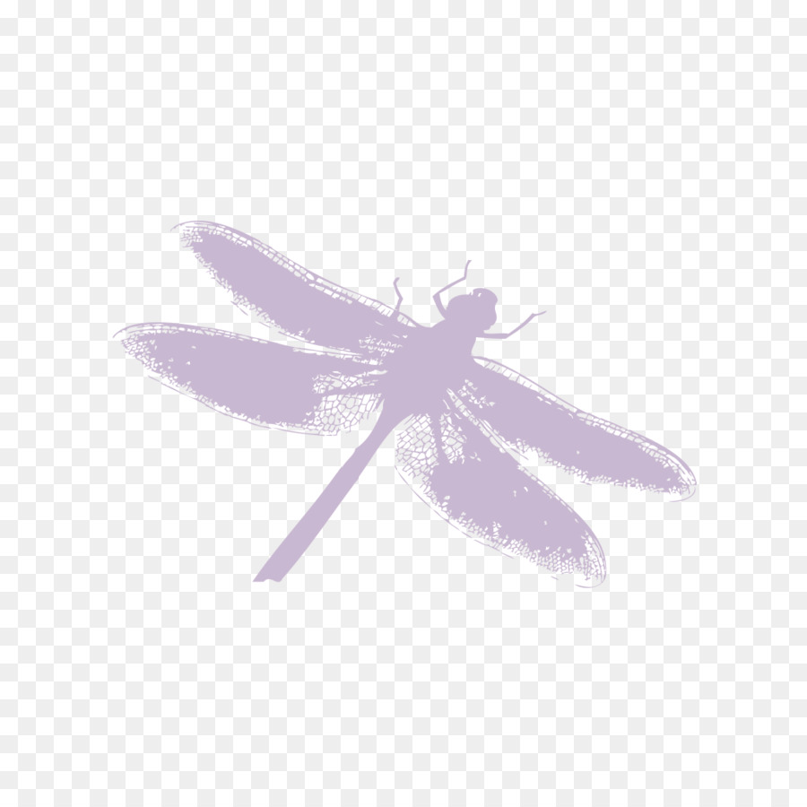 Insect Silhouette - Dragonfly Silhouette png download - 1024*1024 - Free Transparent Insect png Download.